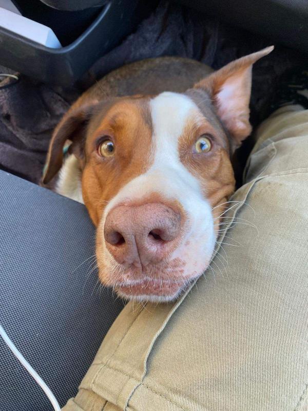 Milo