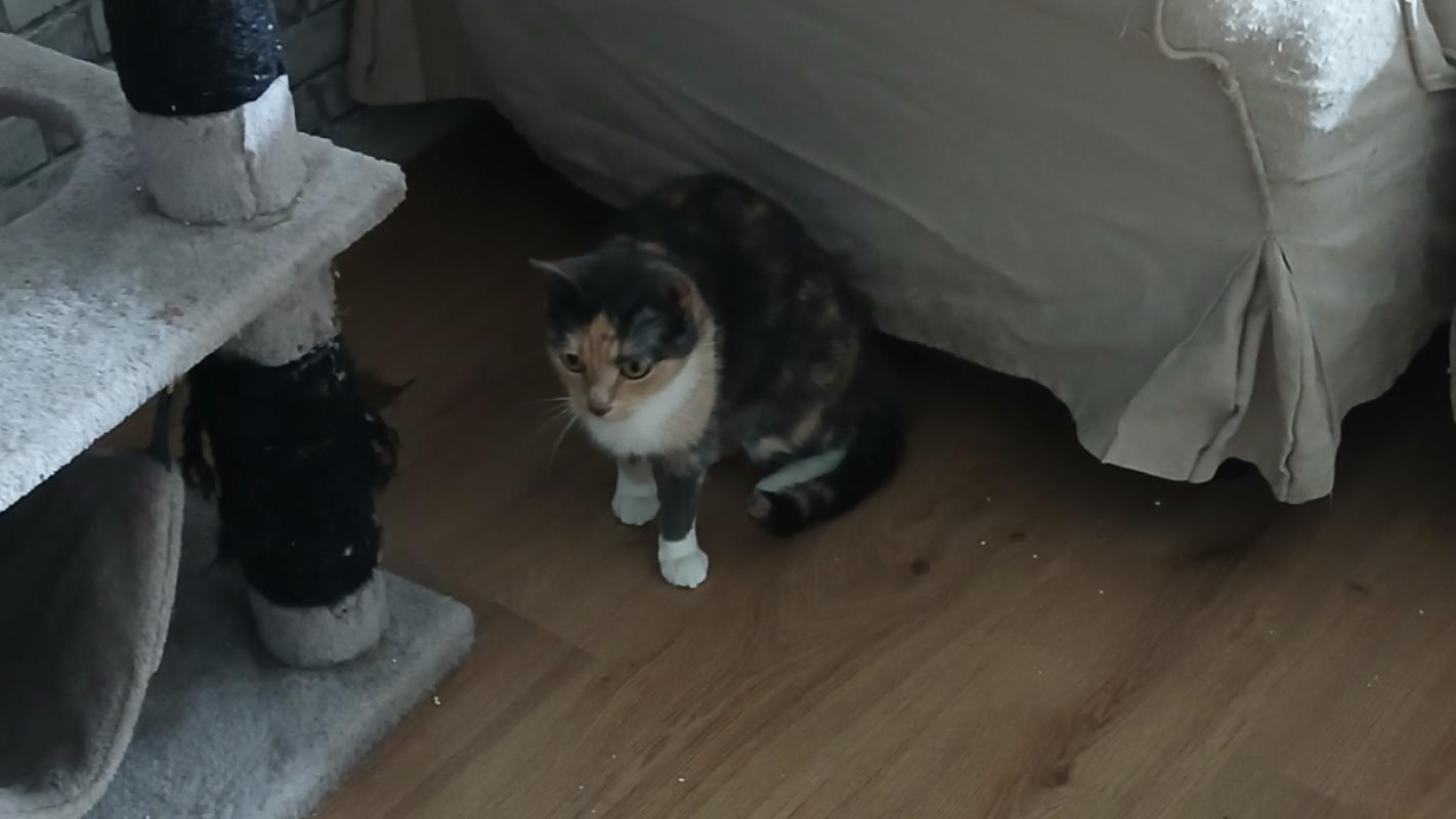 Luna