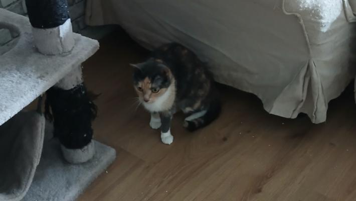 Luna