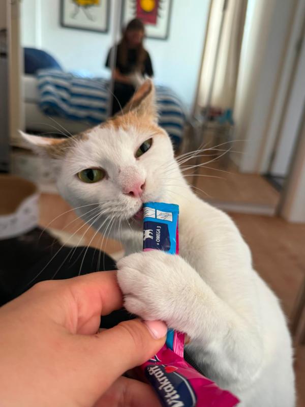Mimi