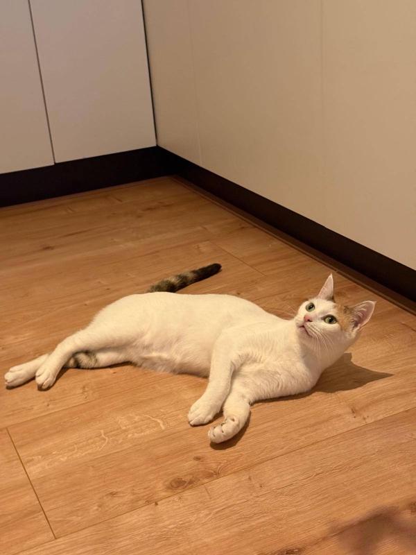 Mimi