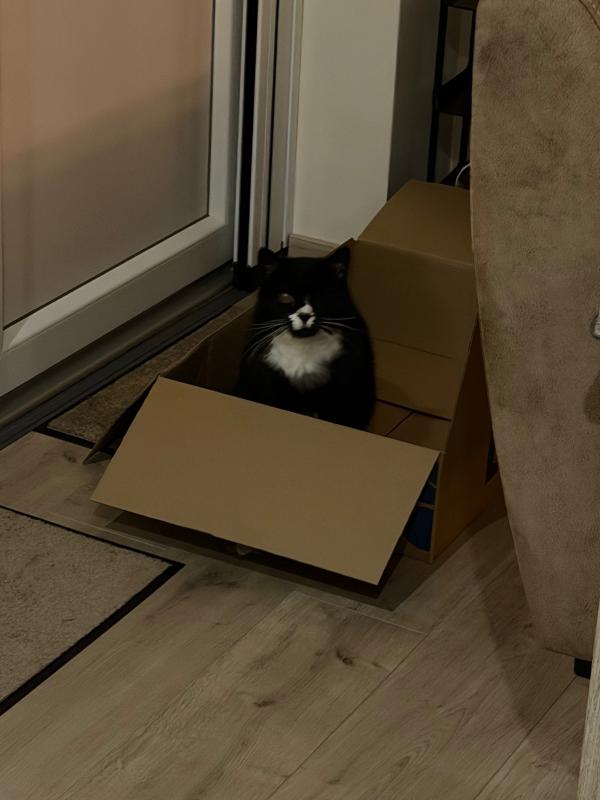 Piet