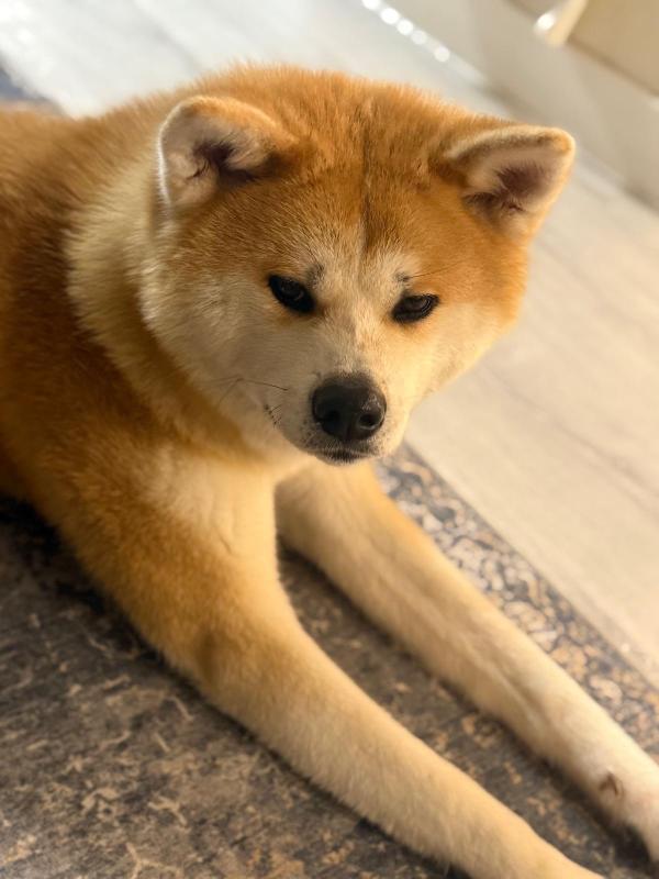 Ashka