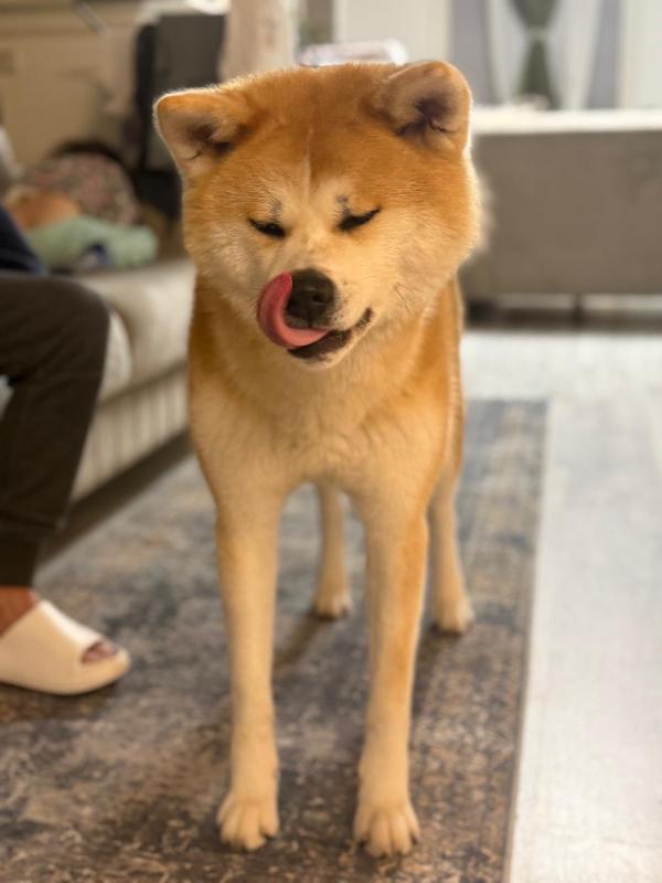 Ashka