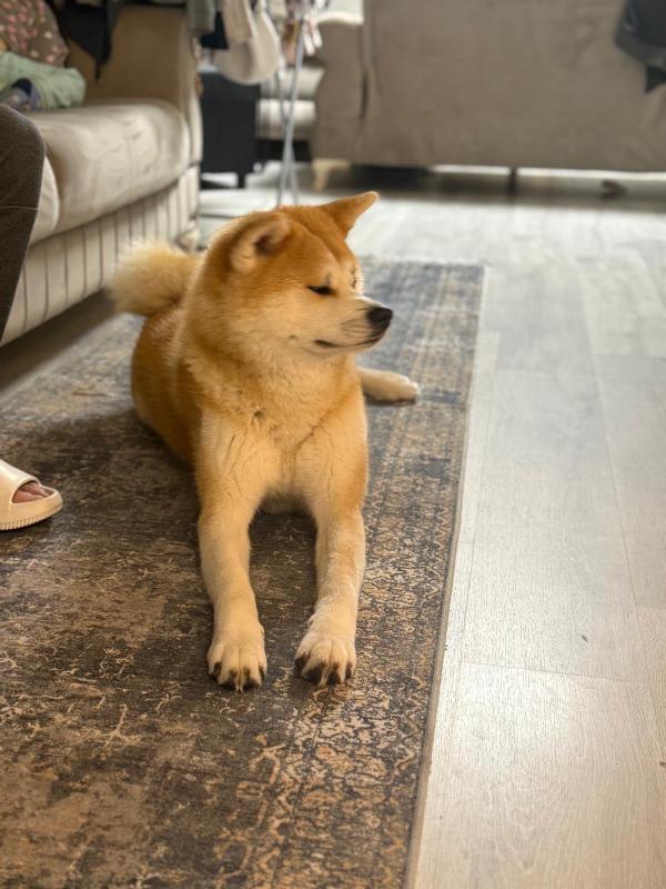 Ashka