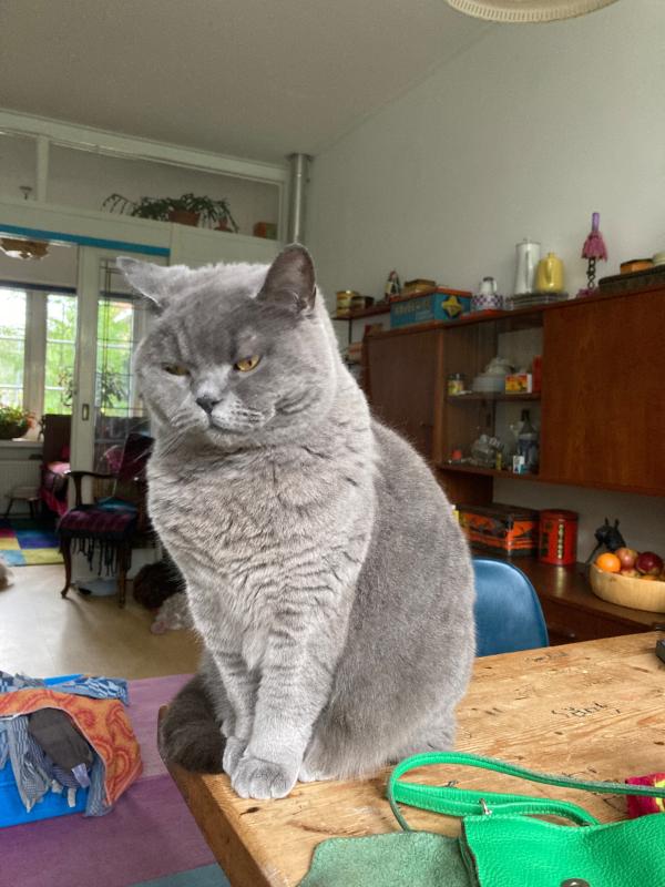 Pumba