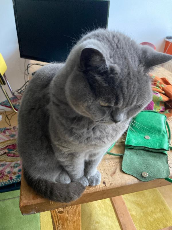 Pumba