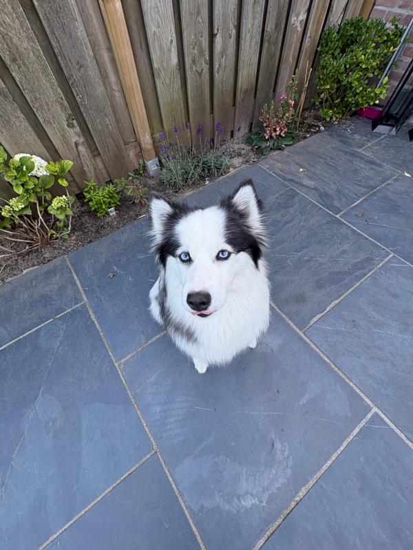 Keesje