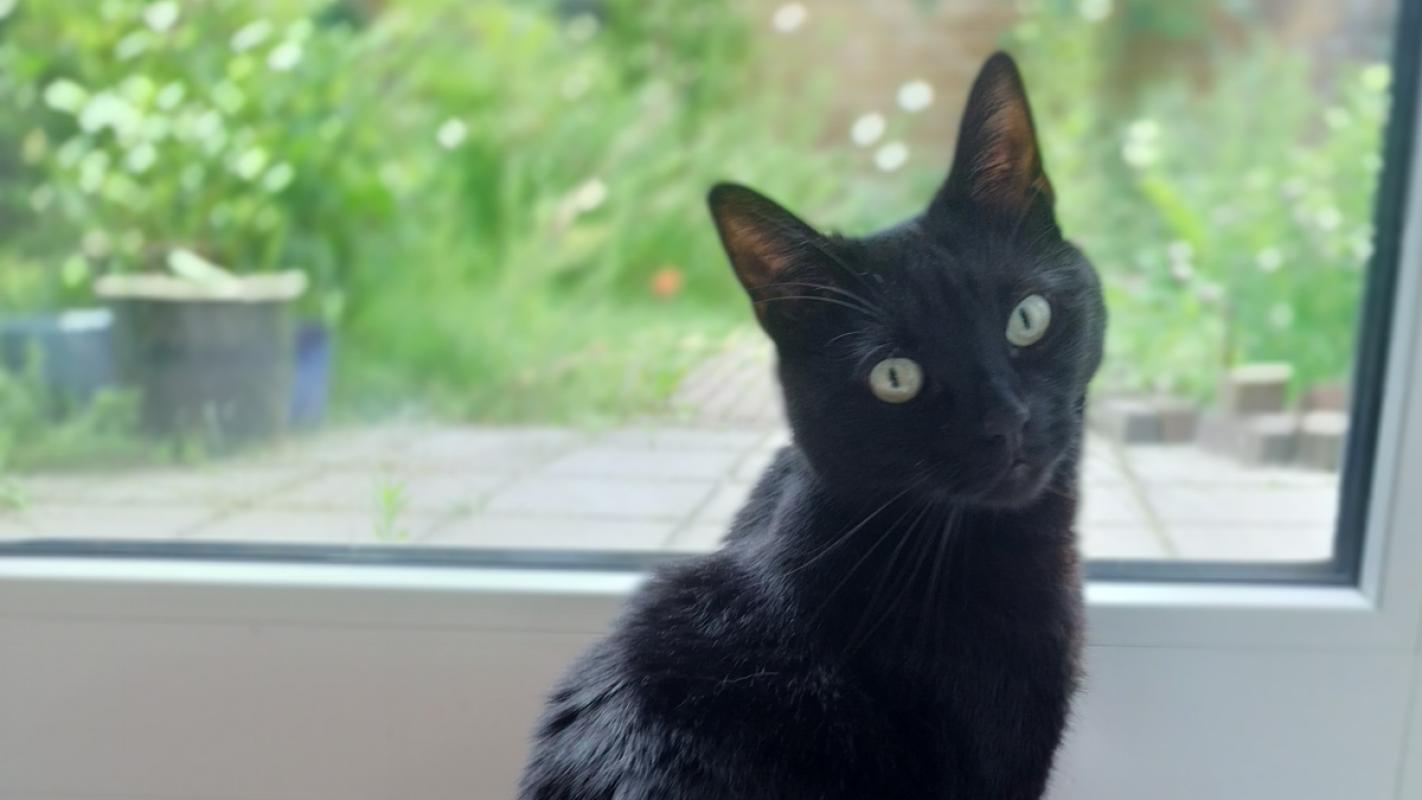 Luna