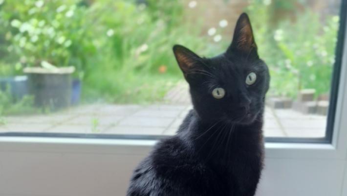 Luna