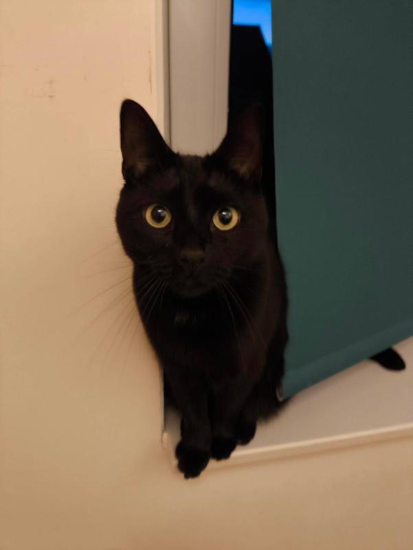 Luna