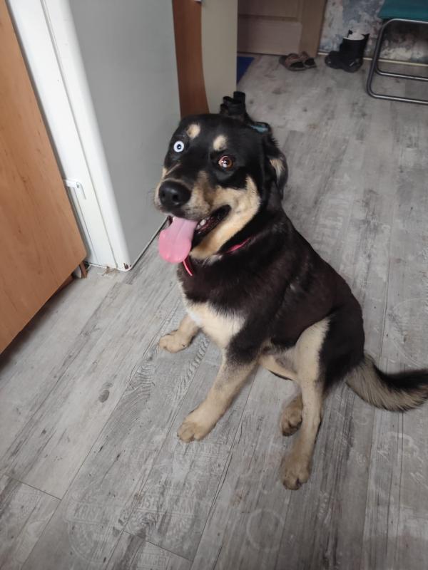 Oscar