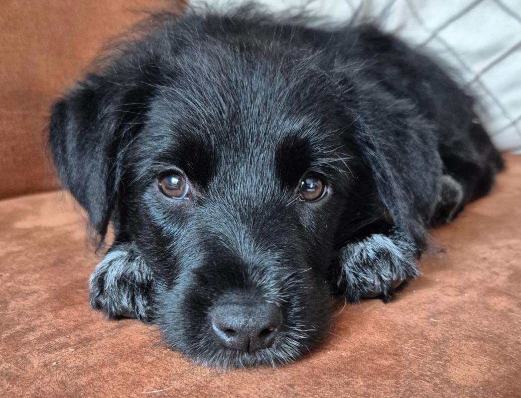 Luna
