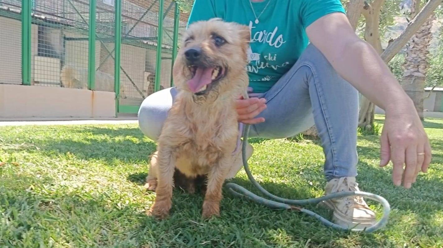 Ciro