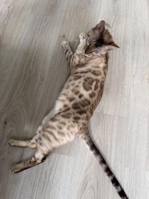 Yuki