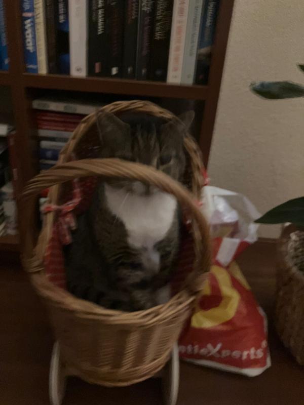 Max