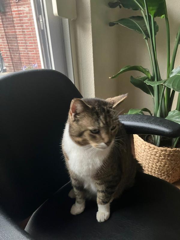 Max