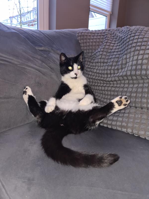 Benji