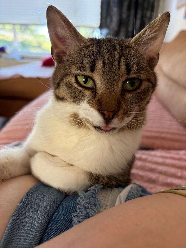 Fiona