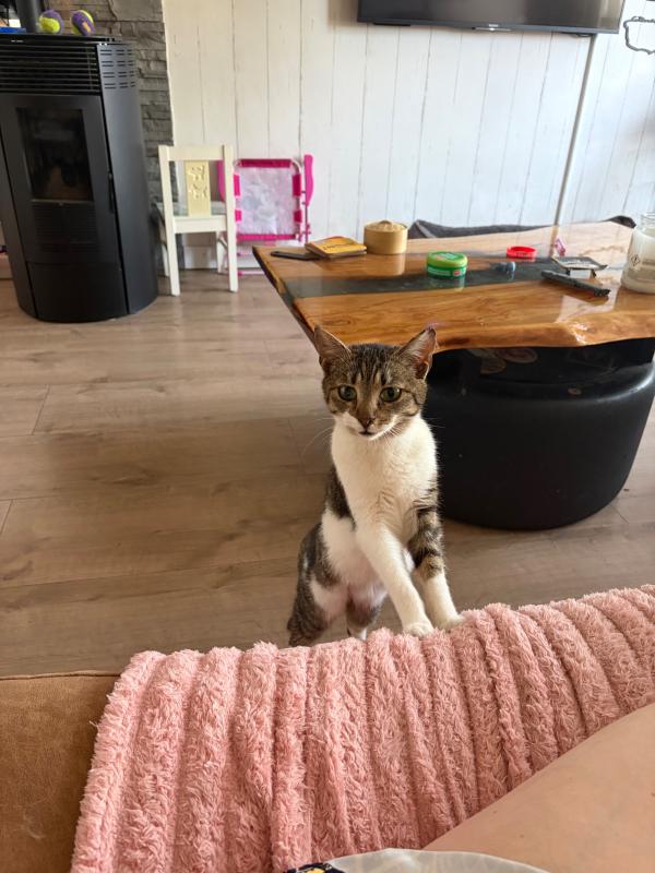 Fiona