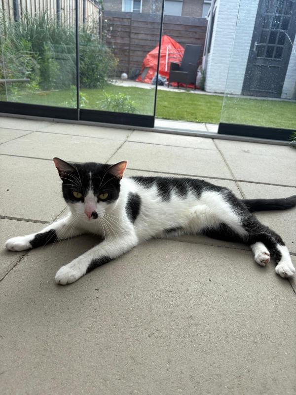 Nova