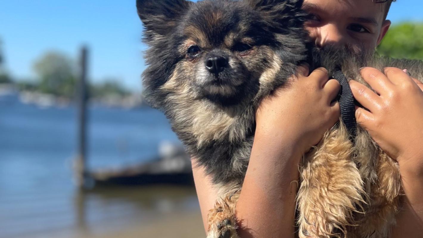 Teddy