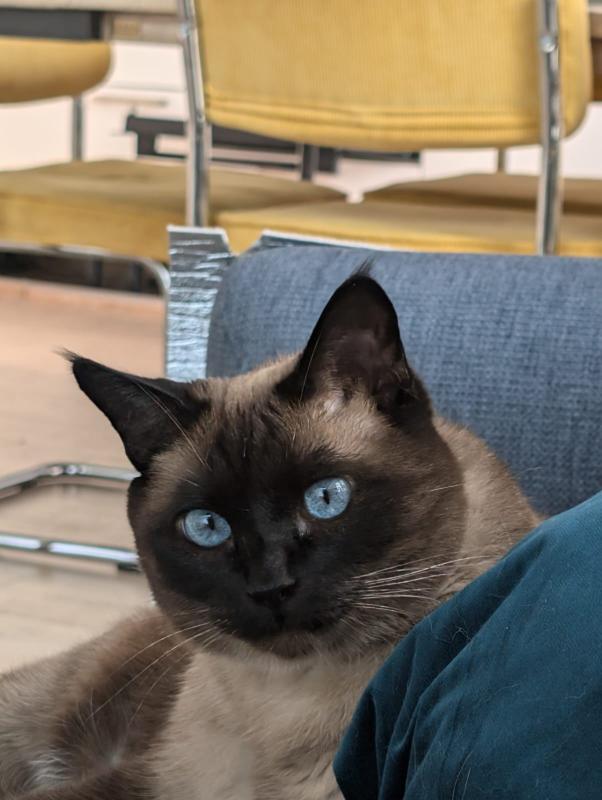 Coco