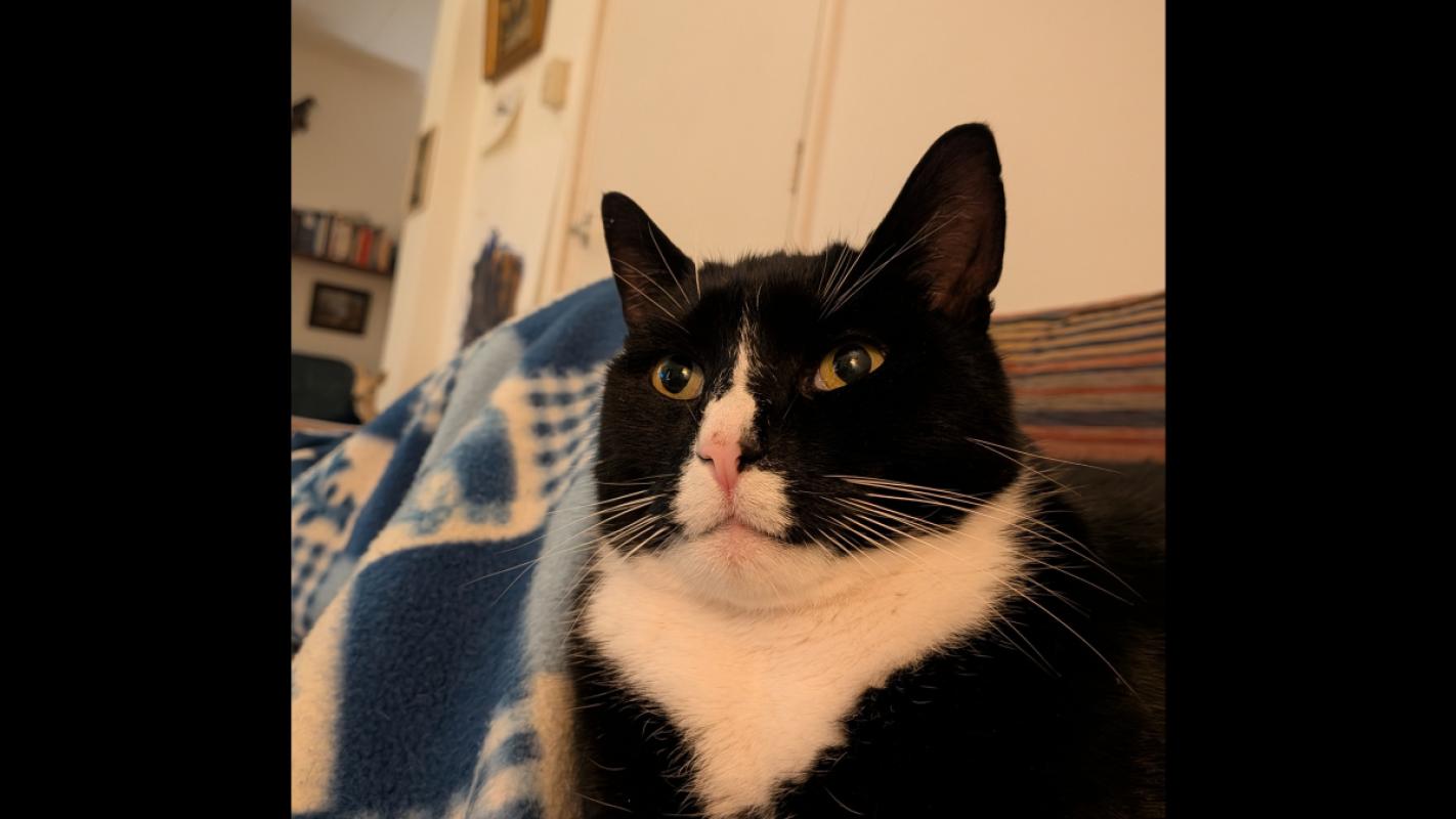 Charlie