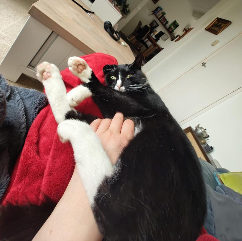 Charlie