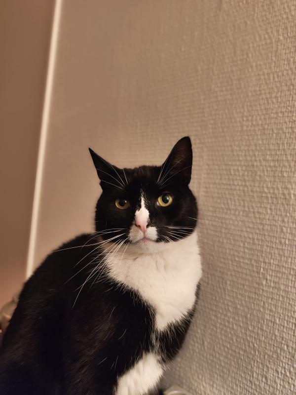 Charlie