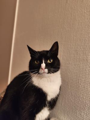 Charlie