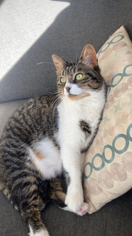 Mimi