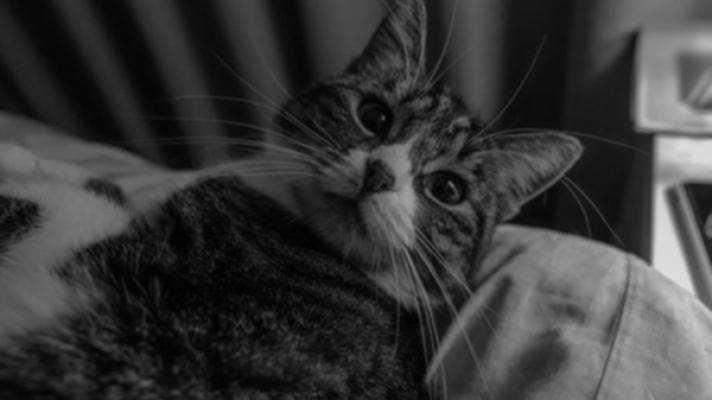 Mimi