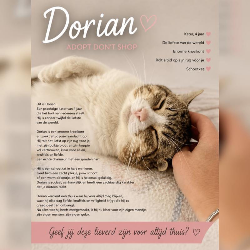 Dorian