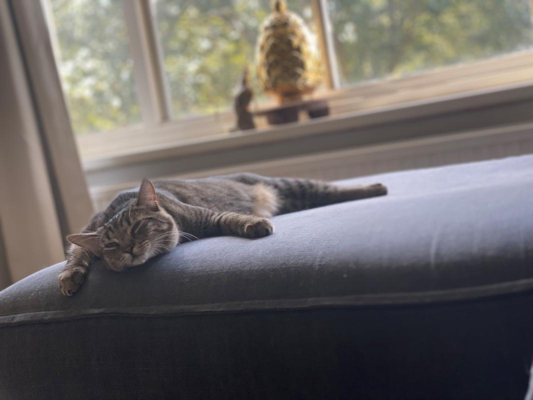 Max