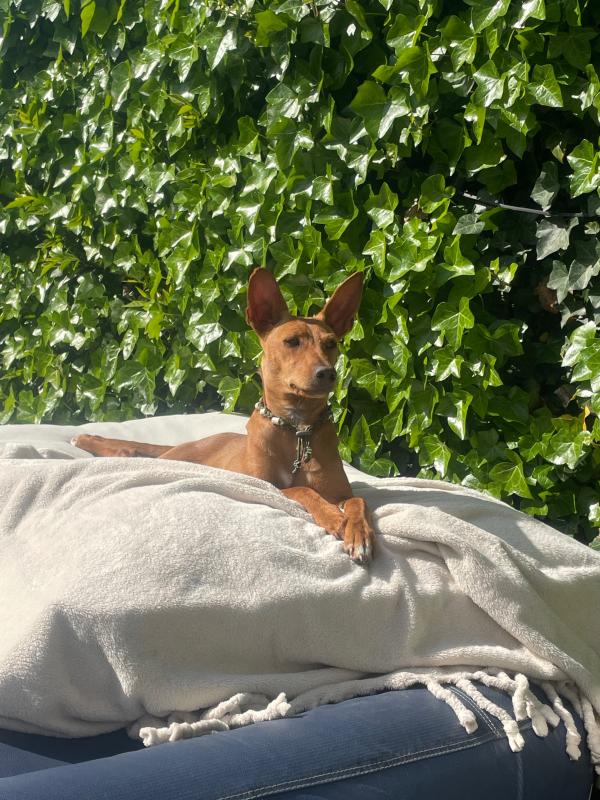 Luna