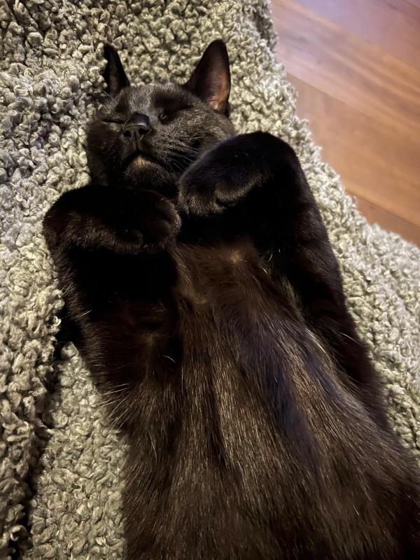 Percy