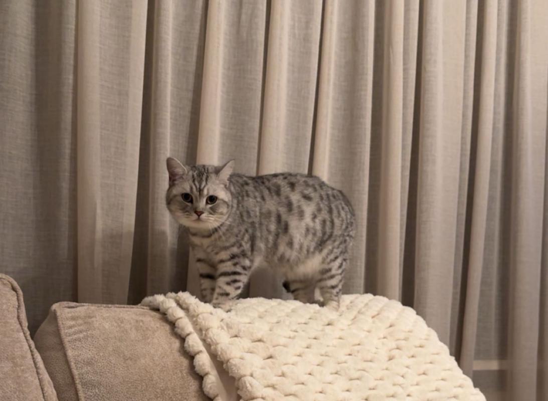 Mimi