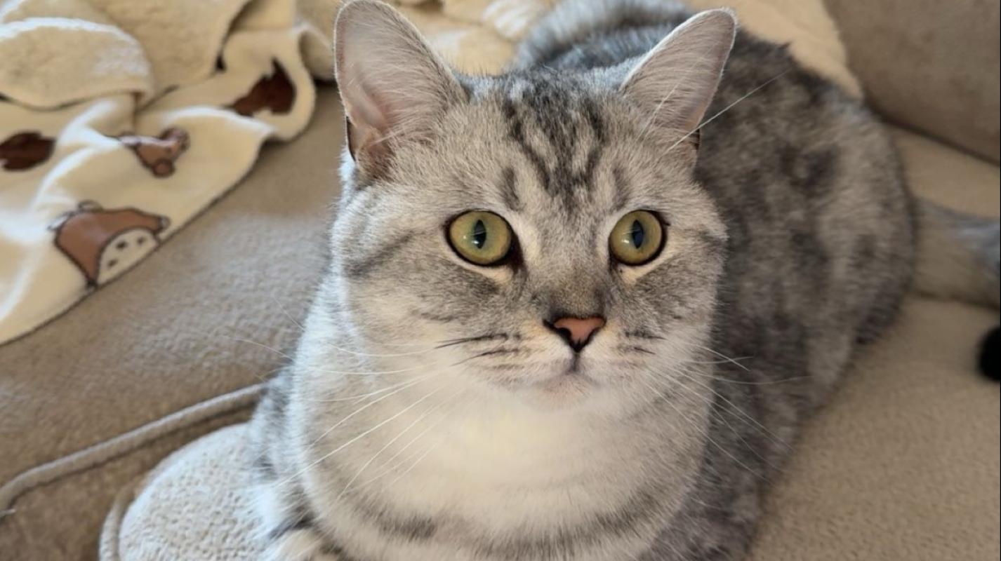Mimi