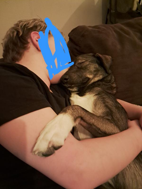 Arlo