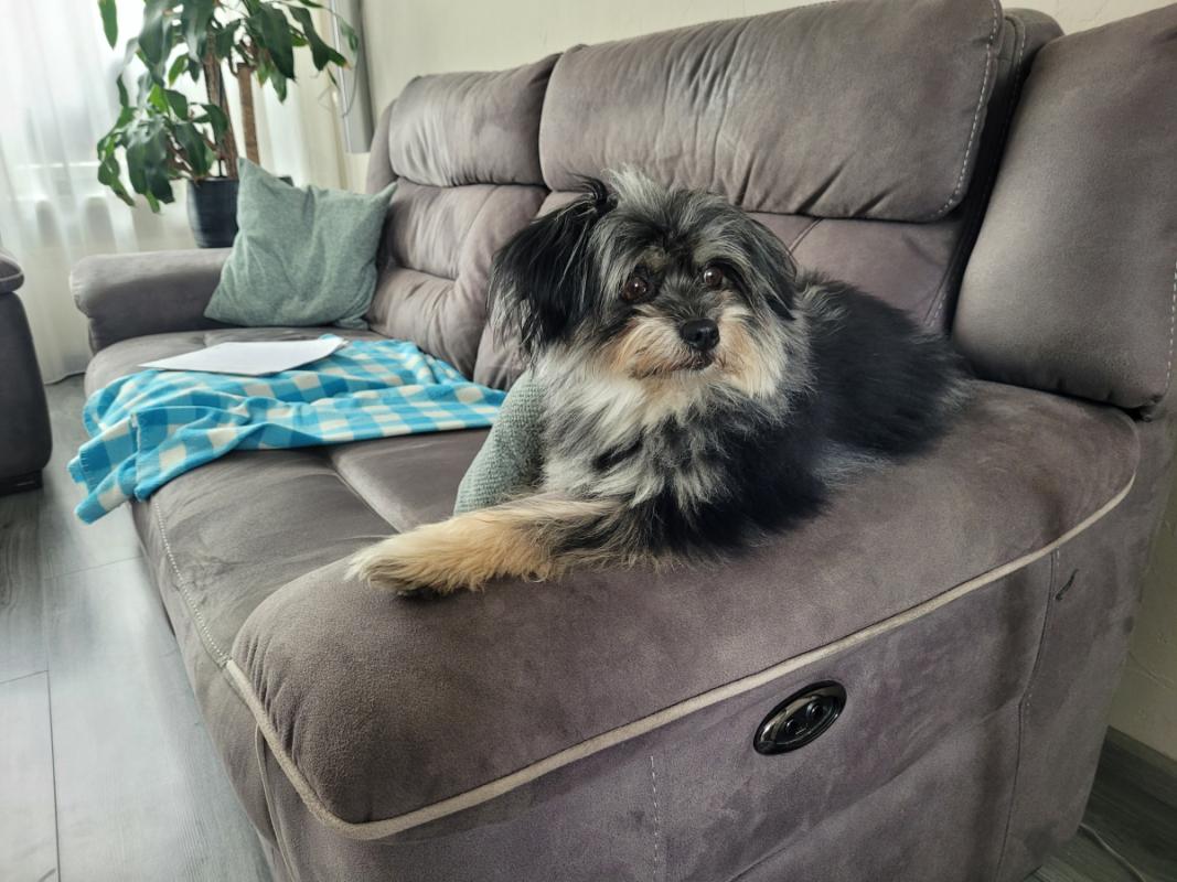 Milo