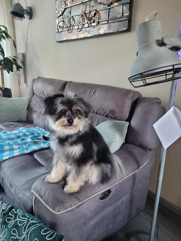 Milo