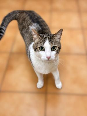 Tom