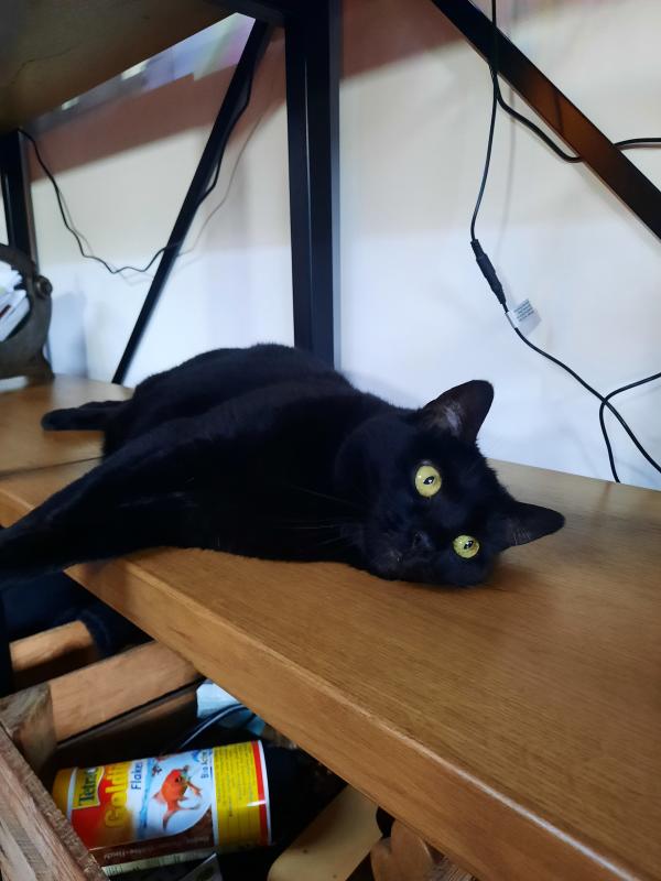 Pukkie