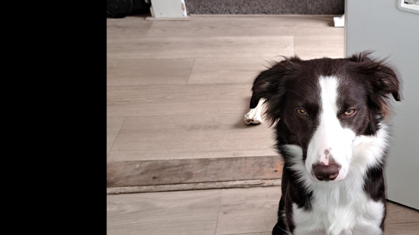 Odin