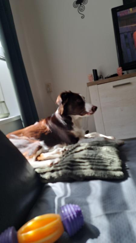 Odin