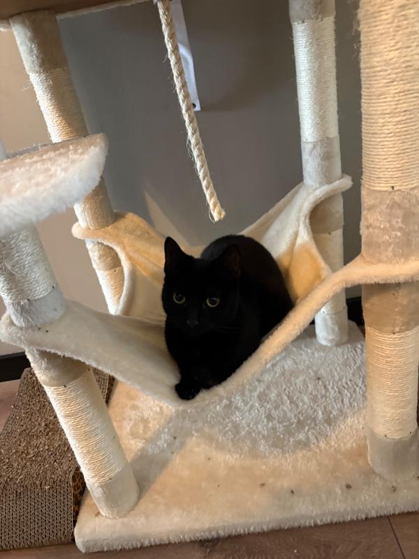 Pumba