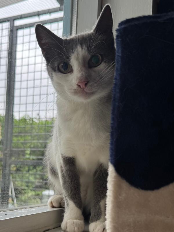 Luna