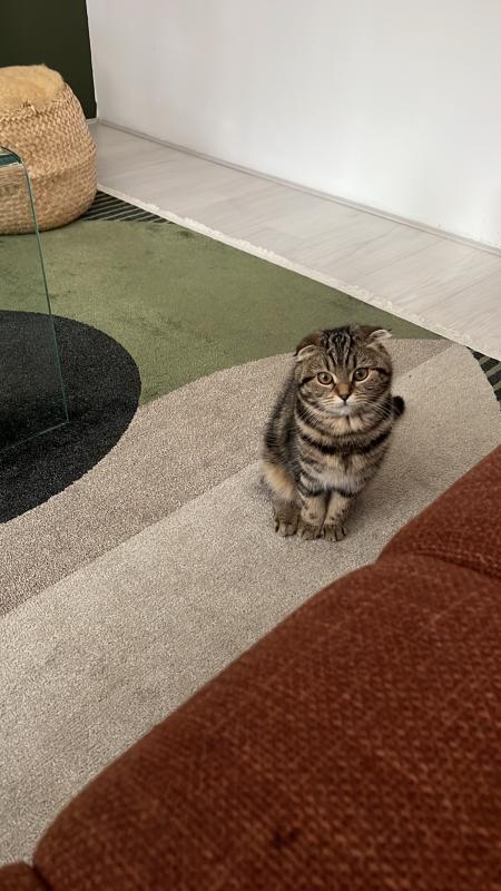 Charlie