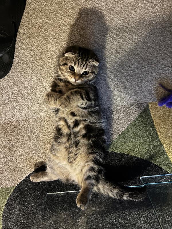 Charlie